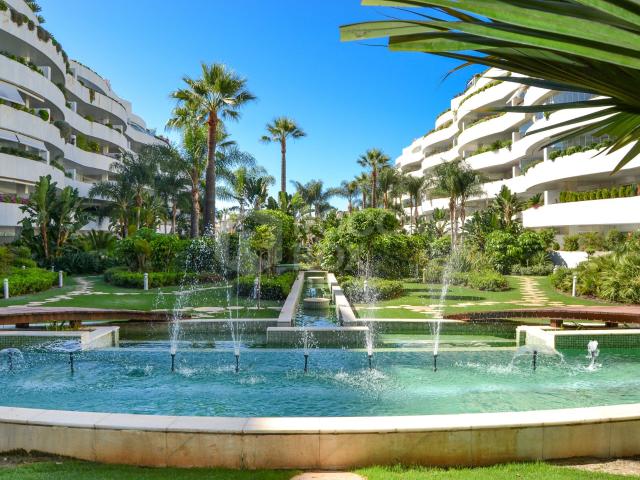 Luxury apartment for rent