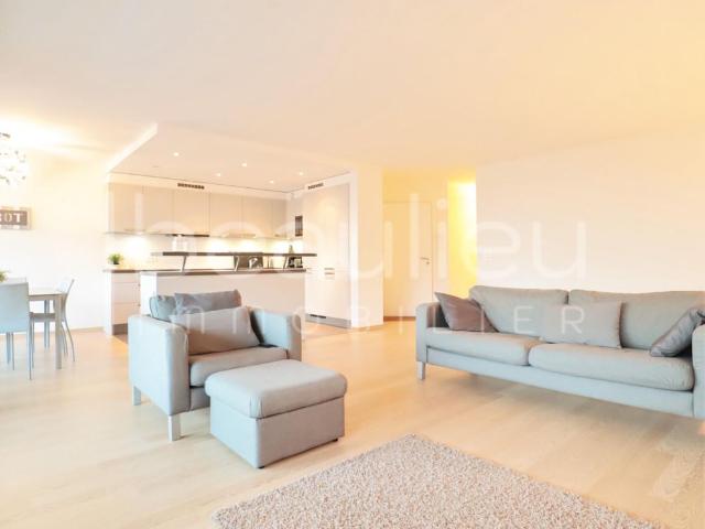 Luxury apartment with lake view