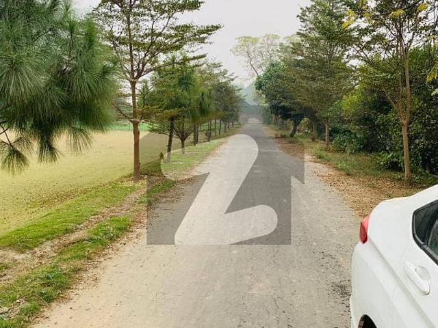 Luxury Farmhouse Residential Plots For Sale Bedian Road, Lahore 2, 4, 8 &Amp  16 Kanal