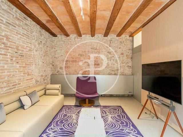 Luxury Flat for rent in Barcelona, Catalonia