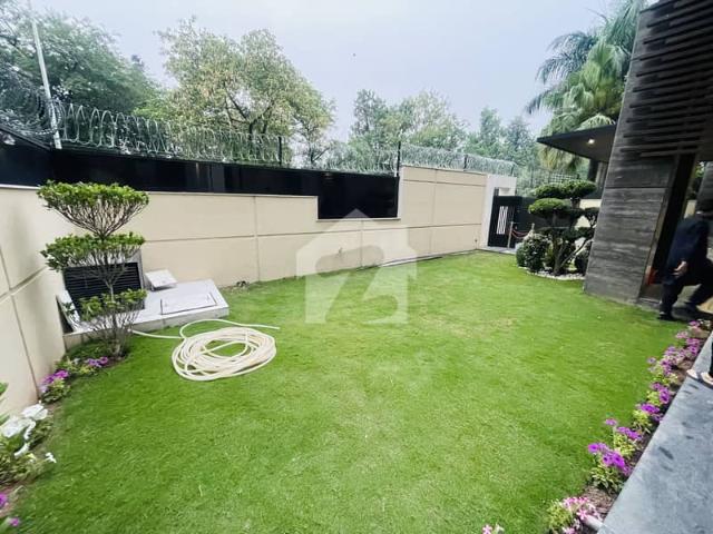 Luxury House Available For Rent