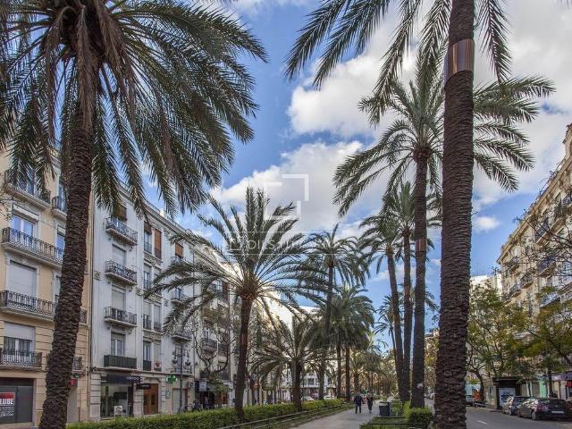 Luxury penthouse for rent in Valencia, Spain