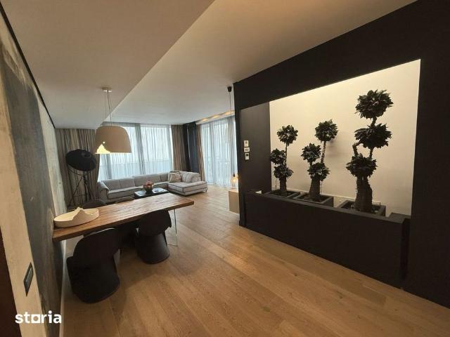 Luxury Penthouse 3 Bedrooms with big Terrace Herastrau