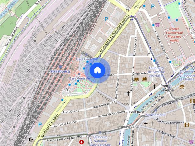 Luxury roommate in Strasbourg