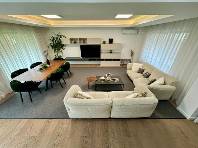 luxury villa, modernly furnished, iancu nicolae area