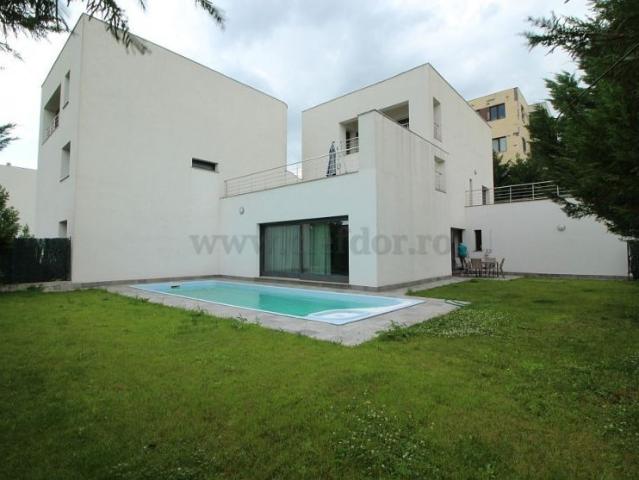 Luxury Villa with Swimming Pool near British School