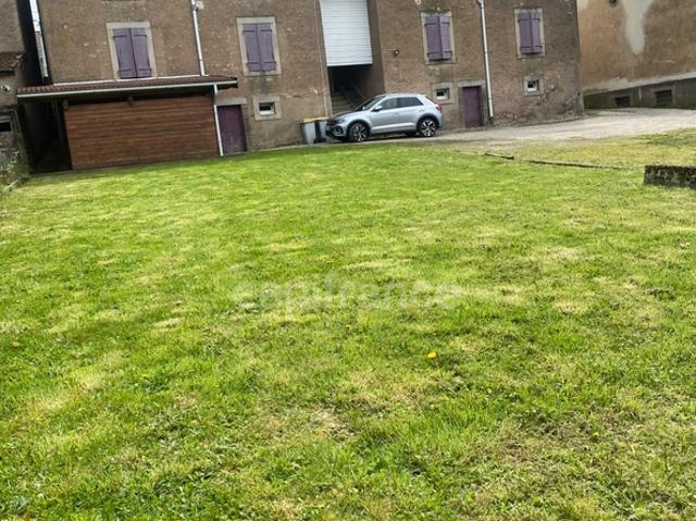 Luxeuil les Bains Vente Immeuble 70