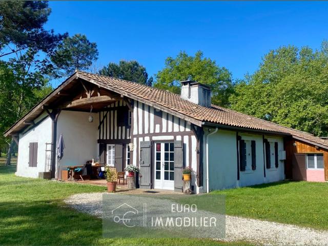 Luxey 2 hectares ha 3 landaise colombages Airial Lan. 170m² Luxey