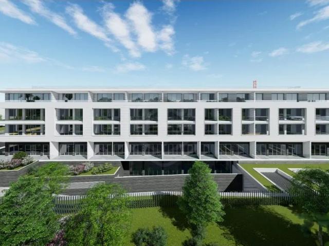 Luxo Alcântara