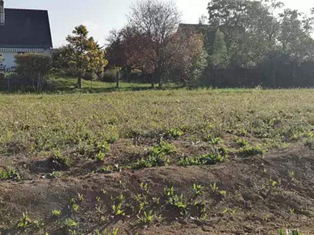 Luynes 37230 Programme neuf terrain neuf à vendre