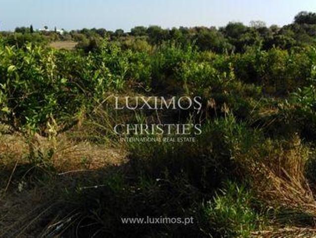 Luz de Tavira e Santo Estêvão FARO 96316472