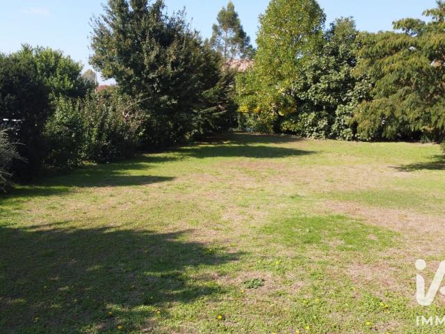 Luzinay Vente Terrain 38