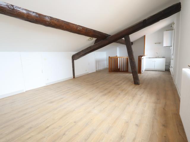 Lyon 1 Location Duplex/triplex 69