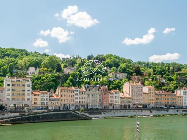 Lyon 1 Vente Appartement 69