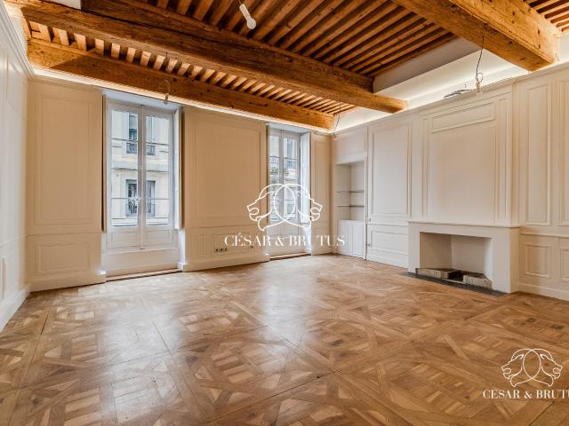 Lyon 2 Vente Appartement 69