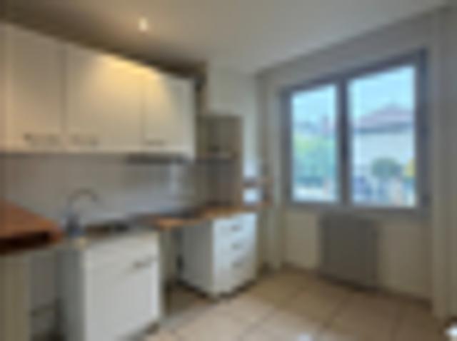 Lyon 3 Location Appartement 69
