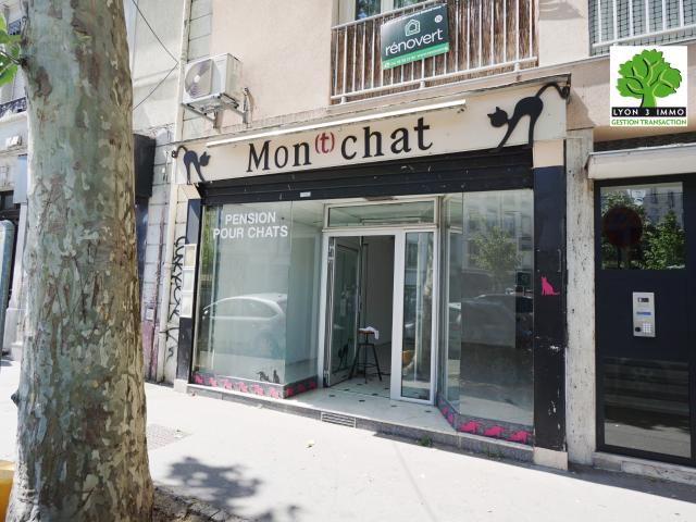 Lyon 3 Montchat Local de 42 m2