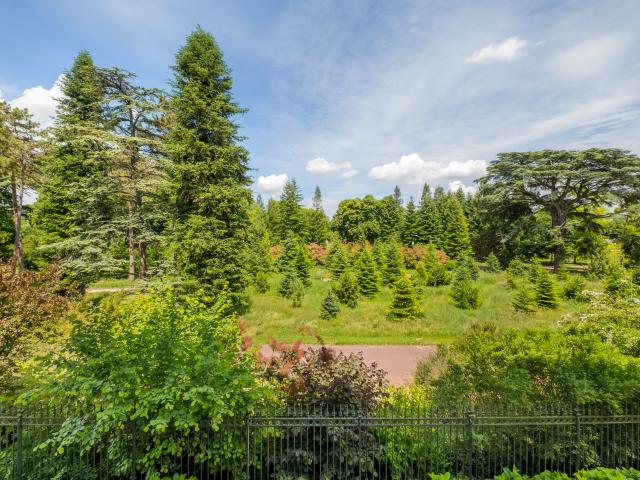 Lyon 6ème, vue et accès au parc de la Tête d'Or, magnifique appartement de standing de 112 m2
