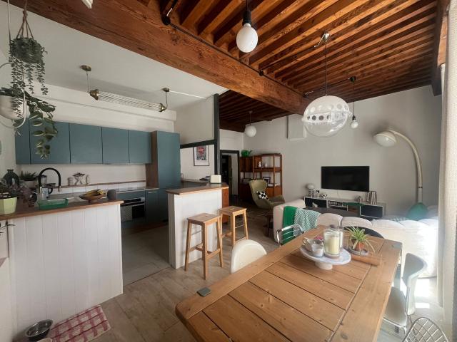 Lyon 7 Location Appartement 69