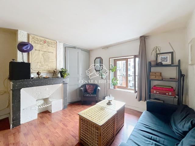 Lyon 7 Vente Appartement 69