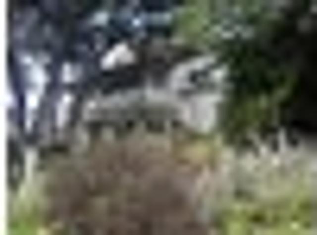 Lyall Bay, 3 bedrooms, $880 pw