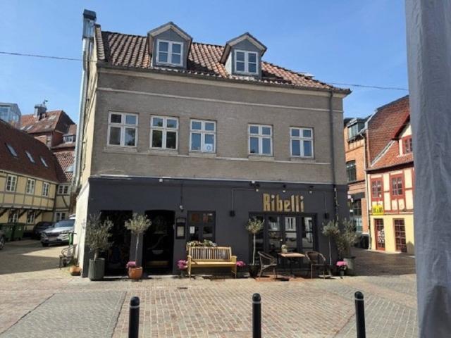 Lys 3 værelses lejlighed i Odense C