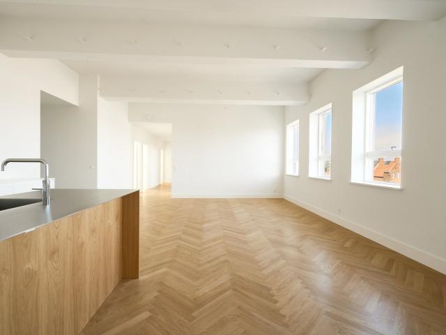 Lys 220 m² fabriksomdannet lejlighed med privat elevator