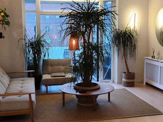 Lys 4 værelses lejlighed på Amagerbro, 132 m²