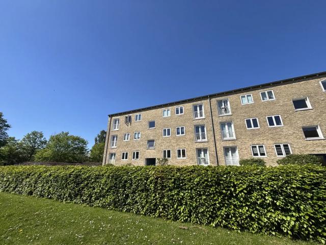 Lys og velindrettet lejlighed i attraktive Gentofte