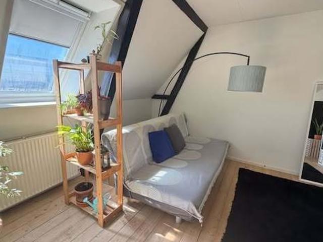 Lys top lejlighed med hyggelig altan og byudsigt i Aalborg C!