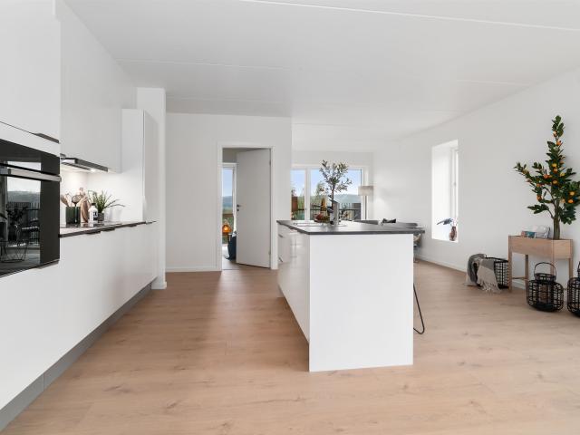 Lysbrolysningen 12, 1. Dør 11