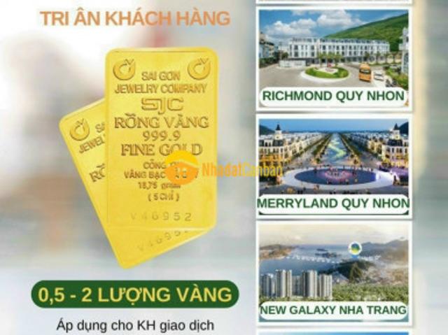 Mừng lễ 29 hưng thịnh ưu đãi chiết khấu khủng tất cả các dự án