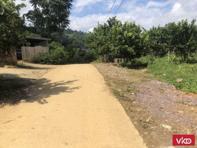 Mảnh đất rộng 2675m2 tại Mộc Châu thích hợp kinh doanh homestay, trang trại
