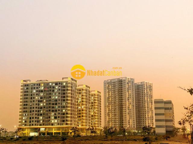 Mở bán chcc fpt plaza 2 trong kđt fpt 450trcăn 2pn view biển, công viên. Lh0764445