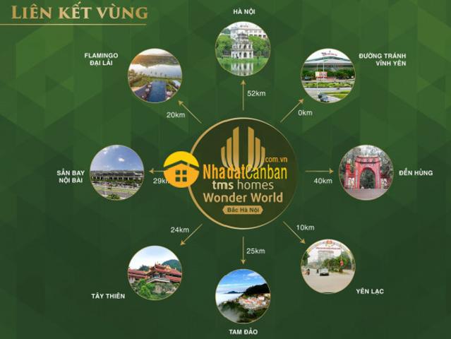 Mở bán giai đoạn 1 dự án liền kề shophous tms land đầm cói hội hợp vĩnh yên vĩnh phúc