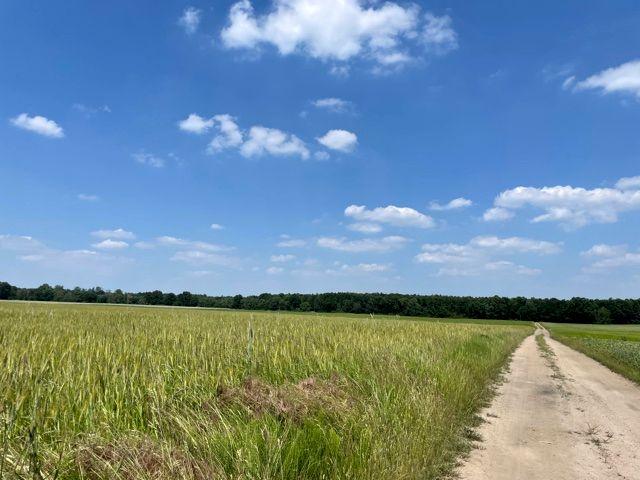 Mściszewo 11 1 300 m², Mściszewo