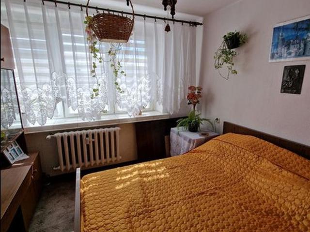 M. Katowice, Dąb, Ściegiennego