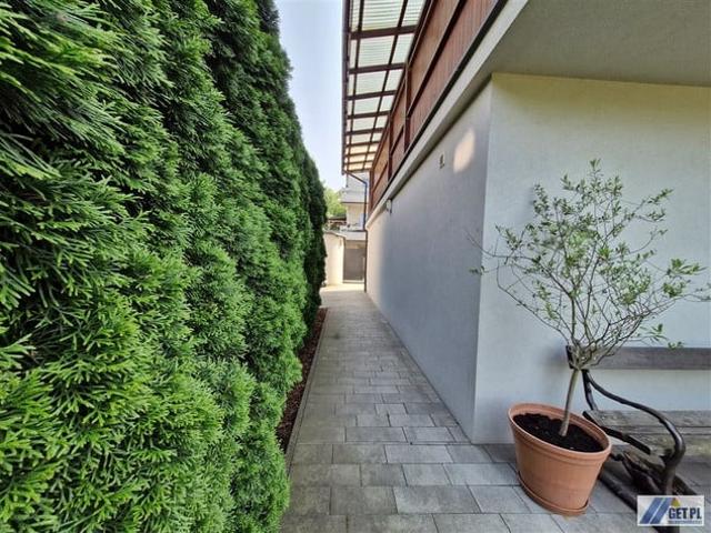 M. Kraków, Swoszowice, Kliny Borkowskie