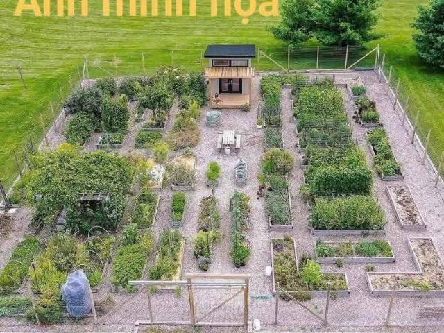 Một mảnh vườn – một khởi đầu an yên