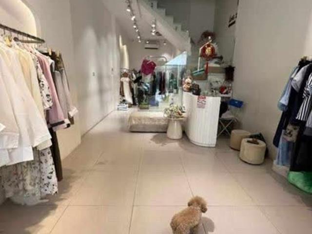 Măt Phố Nguyễn Hy Quang Đông Đa, KD Ô Tô, Vỉa Hè: 48m, 6t, Mt: 5.2m, 23.5 Tỷ
