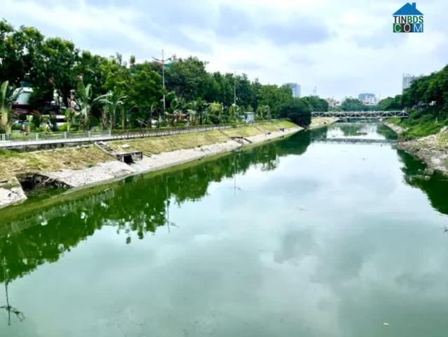 Mặt Phố Nguyễn Đình Hoàn Nguyễn Khang 196m² MT 7.6m 5 Tầng 92 Tỷ