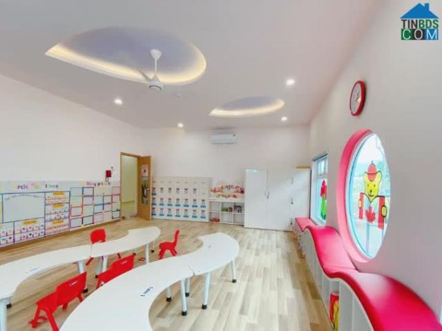 Mặt Phố Ngô Thì Nhậm 230m² Mặt Tiền 8M Vỉa Hè Rộng Dòng Tiền 165 Tỷ