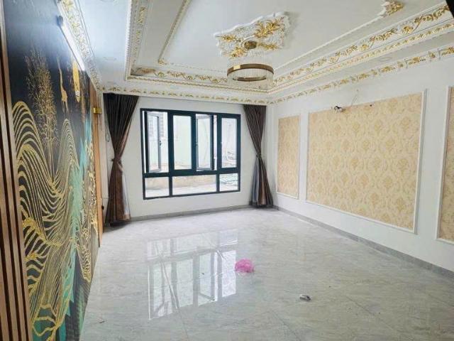 Mặt tiền Kênh Tân Hóa nở hậu giá chỉ 8, x tỷ