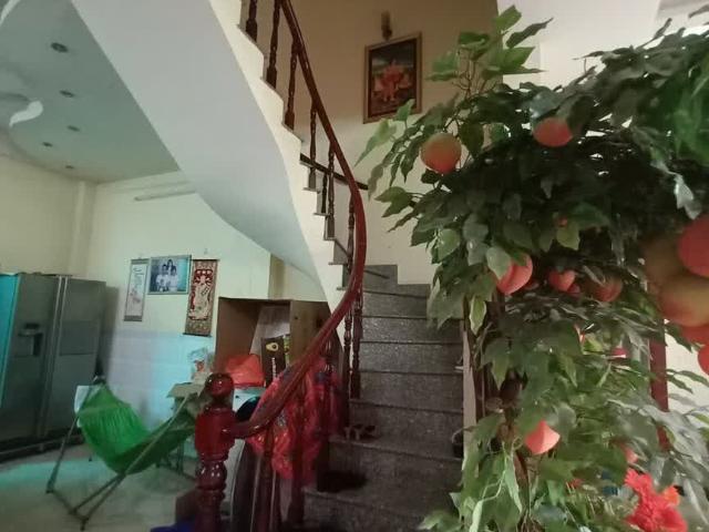 Mặt Tiền Khu Phân Lô View + Nhà Phố Đường Tạ Quang Bửu DTSD 70M2 Nội Thất Cao Cấp Giá Chỉ
