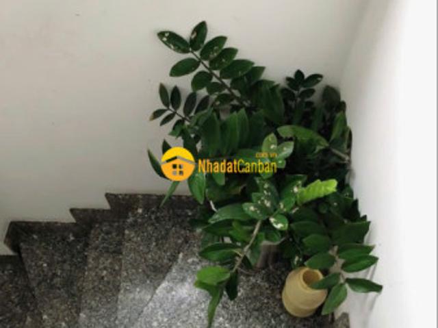 Mặt tiền nguyễn đình khơi tân bình