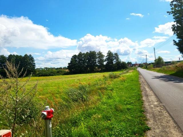 Młynarska 10 899 m², Mieszkowice