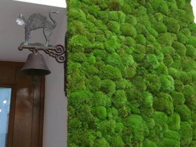Małopolskie, Kraków, Stare Miasto historyczne, Starowiślna