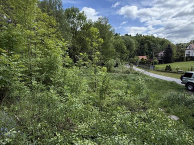 Małopolskie, Kraków, Prądnik Biały, Dożynkowa