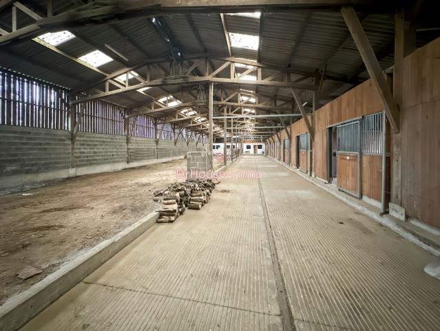 MAMERS 72 Structure Loft de 1 100 m² sur 1,3 hectare Potentiel XXL