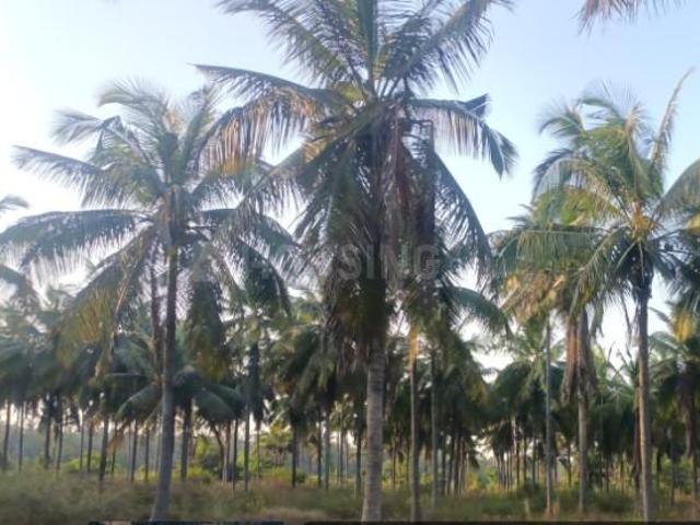 Mantanakurchi Residential Plot For Sale Bengaluru